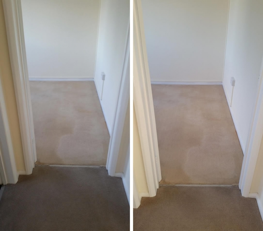 Before and after photos